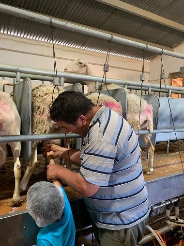 Èxit del nou pla "A Menjar Sa" en els col·legis de la Safor 1 Visita guiada