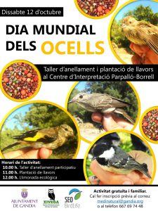 XIVEGA'T: "Dia Mundial dels Ocells a Gandia" 1 Dia Mundial dels Ocells 2019