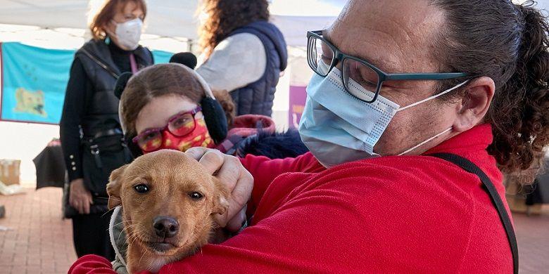 Voluntat per donar continuitat a la Fira Benestar Animal a Gandia 2 Fira Benestar Animal Gandia