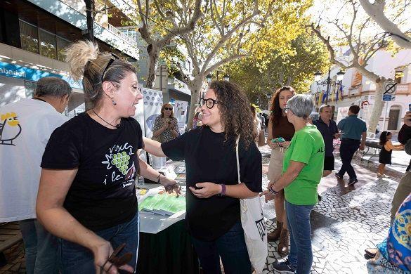 La Fira i Festes Gandia 2024 ompli els carrers de gent, alegria, cultura i oci 5 Fira i festes Gandia 2024 1