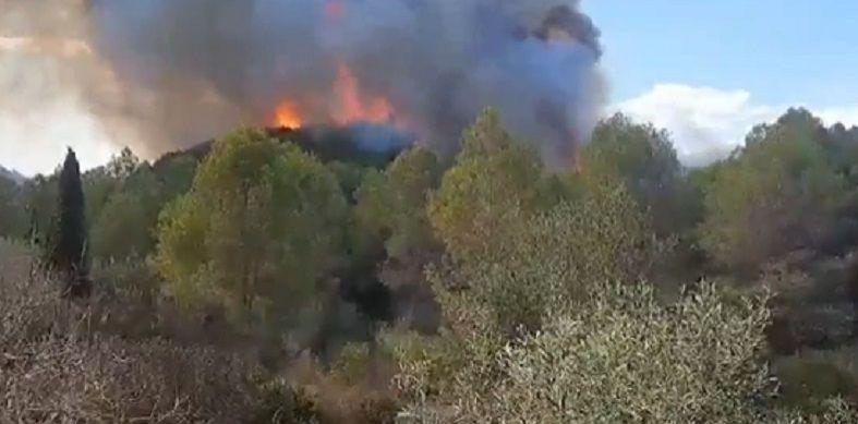 Declarat un incendi forestal a Simat de la Valldigna 1 Incendi Forestal Simat de la Valldigna