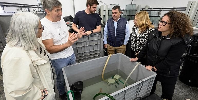 Projecte d'investigació per a la cria sostenible de la cigala de Gandia 1 Gandia cigala 1