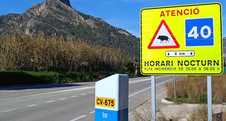 Accident mortal en la carretera que uneix Gandia i Barx a causa d'un porc senglar 1 Panell porcs senglars