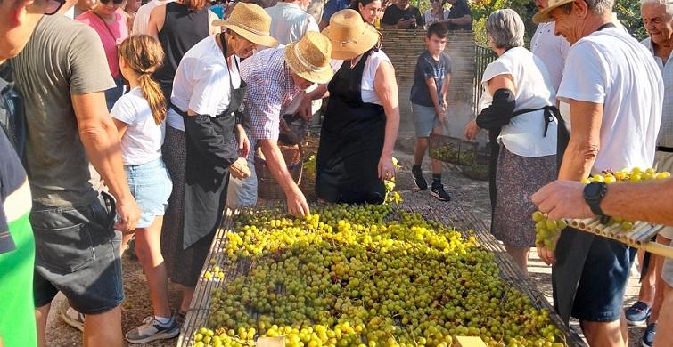 Ròtova reviu la tradició de l'escaldada del raïm de moscatell - Diari ...