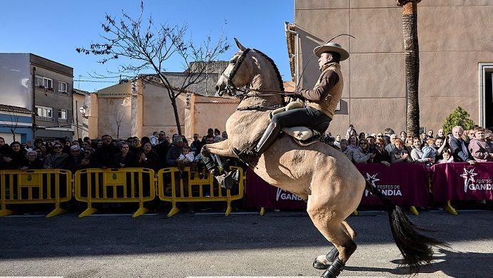 Beniopa triomfa amb un Porrat de Sant Antoni multitudinari 1 Beniopa Porrat Sant Antoni