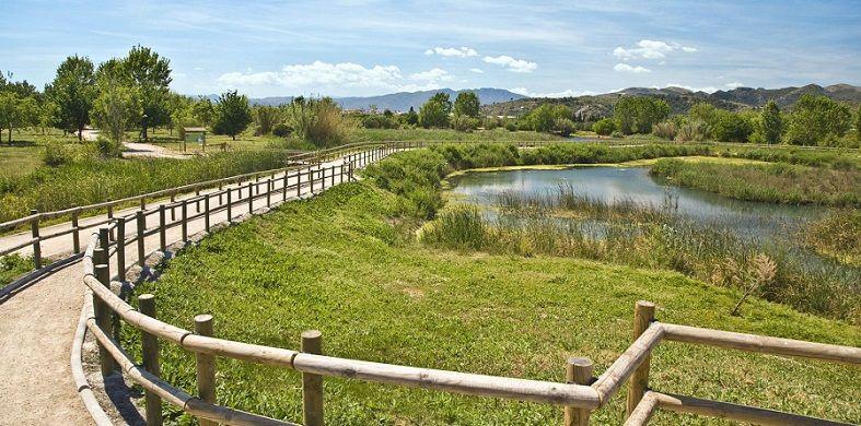La plataforma 'El aliento del Ullal' llança un SOS Marjal de Gandia 1 Ullal de la Perla