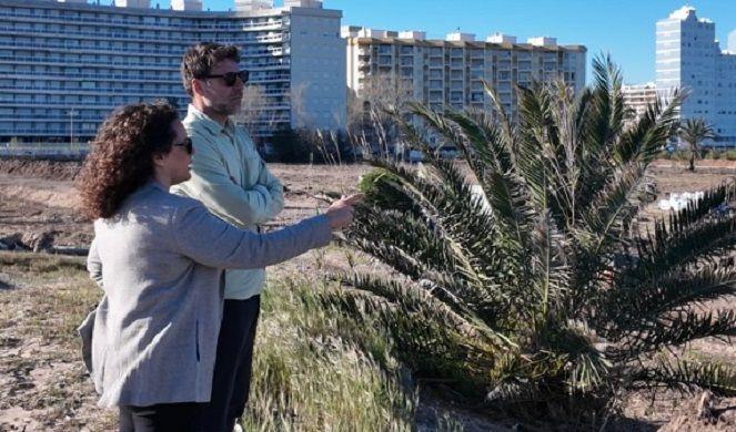 L'Auir recupera el seu pols salvatge 1 Gandia platja de lAuir