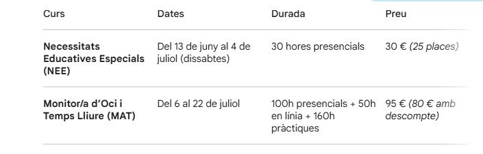 Gandia llança els cursos d'estiu per a joves 2 CONSELL JOVES