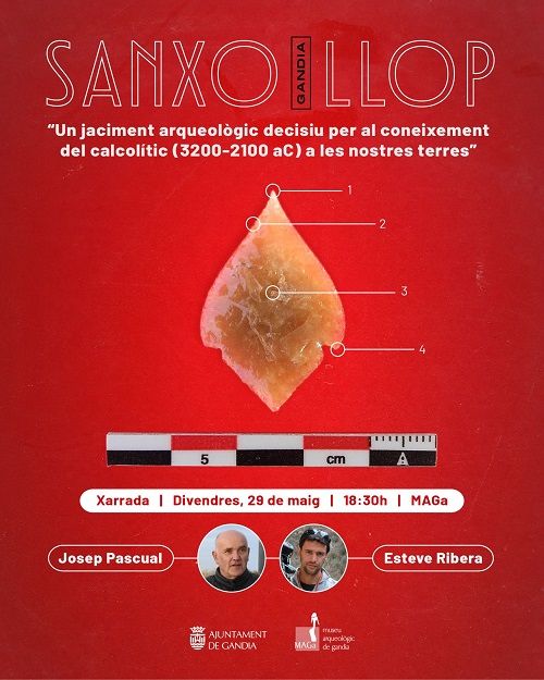 El MAGa desvelarà els secrets de Sanxo Llop: balenes, dofins i els primers metalls de la Safor fa 5.000 anys 1 Gandia Sanxo Llop