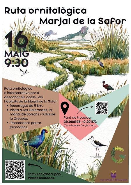 Gandia convida a descobrir els tresors de la Marjal de la Safor amb una ruta ornitològica 1 Gandia cartell ruta ornitologica 2026