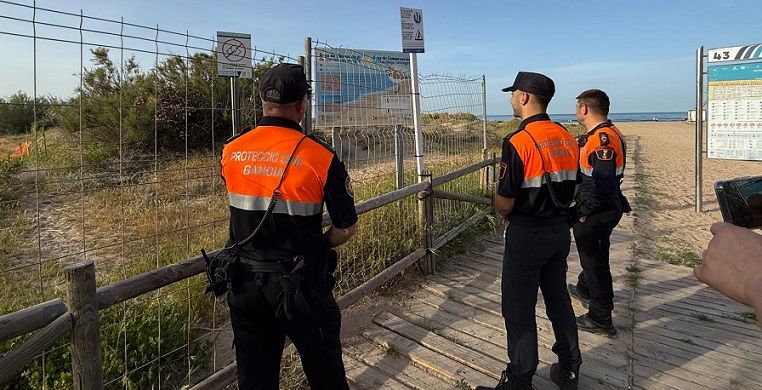Gandia blinda la platja de l'Auir: nova campanya informativa i de vigilància per a salvar el corriol camanegre 2 Gandia vigilancia proteccio Civil 1