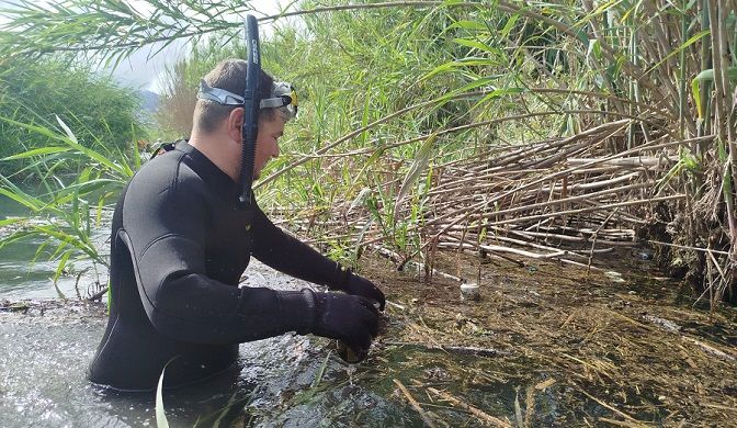 Èxit en la jornada de voluntariat per a reanimar el cor de la Marjal 2 OLiva neteja riu 1