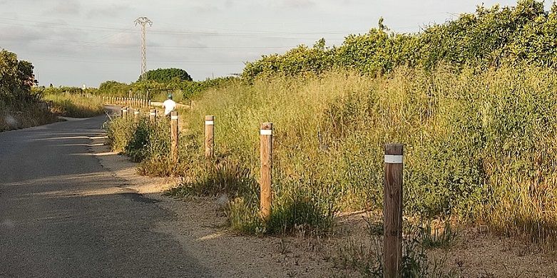 La pressió fa reaccionar a l'Ajuntament de Tavernes i neteja la Via Verda 1 Tavernes camins via verda 1
