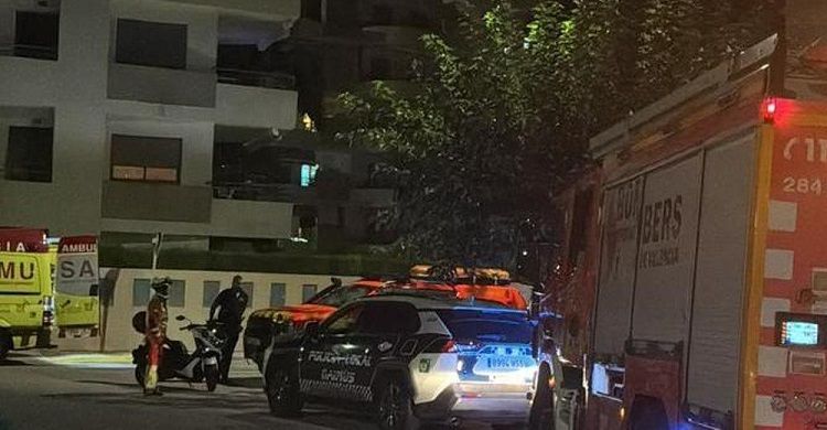 Daimus accidente palmera 2026