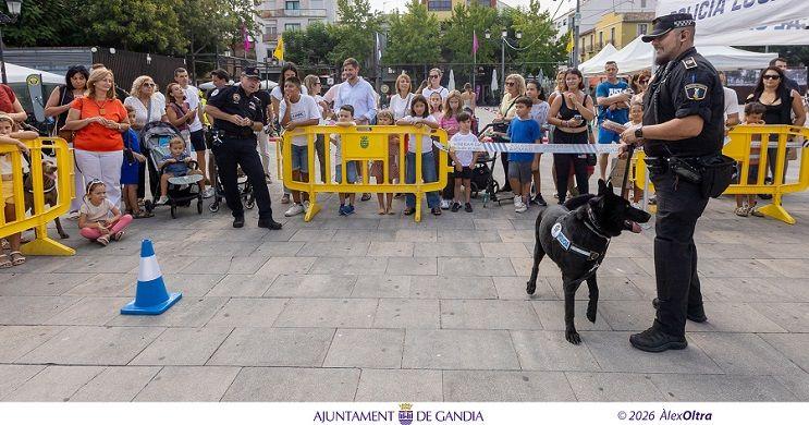 Gandia converteix el Prado en un circuit sobre rodes per a ensenyar mobilitat als més joves 2 Gandia parc mobil 2026